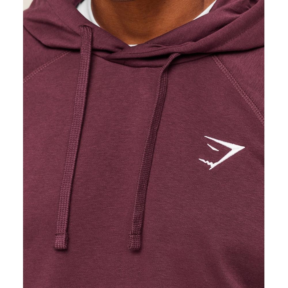 Gymshark Crest Hoodie Gs Impact Burgundy A2a4g Rcf3
