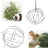 Articoli per Animali Domestici Portabottiglie Acciaio Inossidabile Placcato Porta Fieno a Sfera Distributore di Cibo Giocattolo a Sfera da Appendere Porcellino d'India Criceto Ratto Coniglio