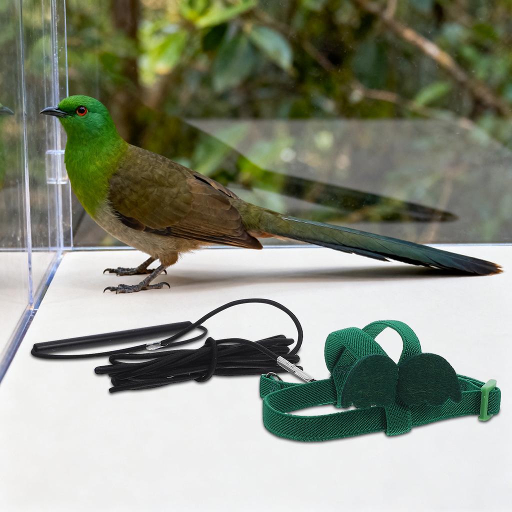 Parrot Flight Rope Harness Adjustable Cute Wing Style Outdoor Training Safety Escape Prevention Bird Harness for Keck Mini Macaw
