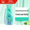 Rejoice Deep Cleansing & Smoothing Shampoo