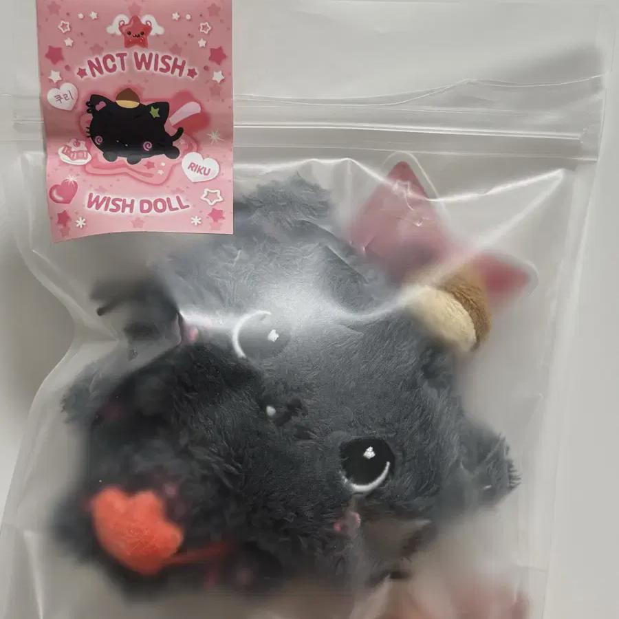 

Nct Wish Doll Kuri