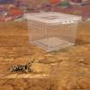 Kunststoff Transparent Haushalt Eidechsen Lebendbox Insekten Fütterungsbox Aufzuchtbecken Reptilien Habitat