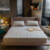1 Piece Of High-grade Pure Cotton Quilted Bed Sheet, Warm Antibacterial And Anti-mite Bed Sheet Mattress Cover.