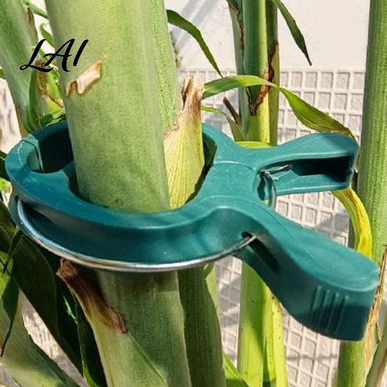 Elastic Plastic Plant Clips 20Pcs Support Clips Gentle Clamps Greenhouse Holders Tomato Cage for Climbing Vines Flowers Stems Professional Clamps