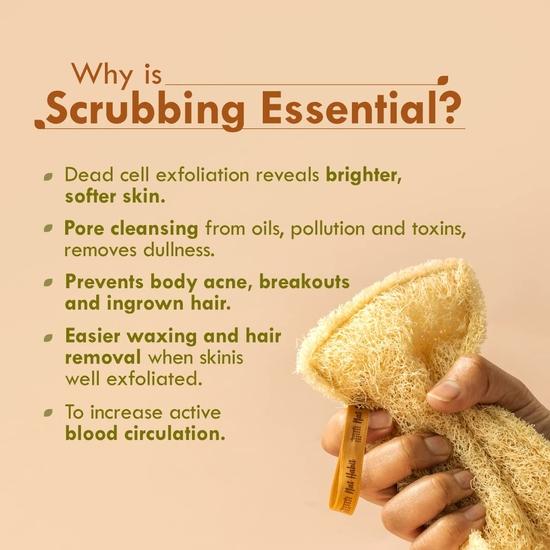 Nat Habit - De Volta aos Segredos Naturais - Bucha de Banho Natural Seca ao Sol Nat Habit | Esponja Corporal e Esfoliante para Homens e Mulheres