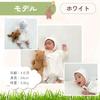 Bear Ear Hat for Girls and Bear Cold Weather Foldable UV Heatstroke Perfect for Sun Cute and Gift Wrapping Available Number [lua Citron] Babies, Boys,