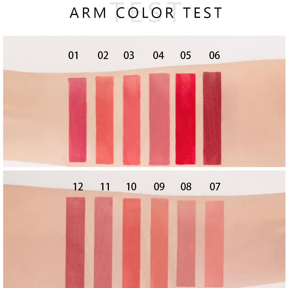 12 Farben Mode Matt Samt Flüssiger Lippenstift Lipgloss Sets Natürlicher Feuchtigkeitsspender Wasserdicht Lang Anhaltend Lippenkosmetik