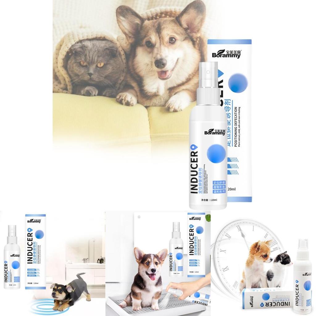 Effektives Stubenreinheitsspray für Hunde zur Standortführung für Urin und Kot