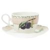 Noritake Orchard Garden Cup & Saucer Pair (for Coffee and Tea), 250cc, Microwave-Safe, Bone China, Set of 2, P97887/4911-12