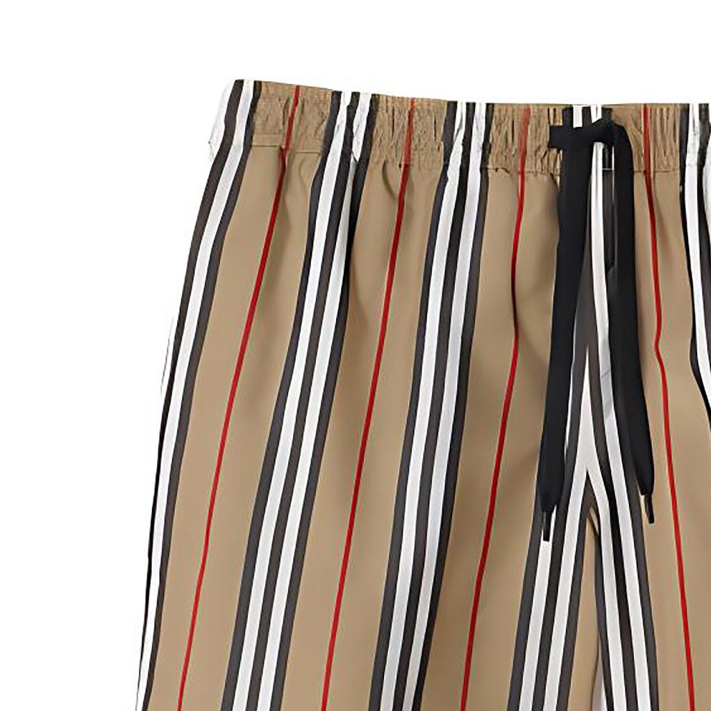Burberry Striped Check Print Swim Shorts 80843201