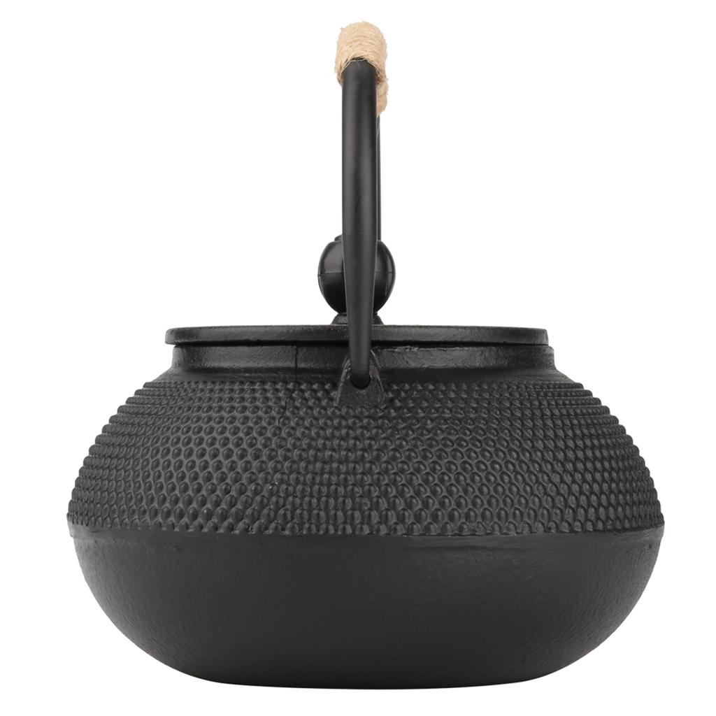 800ml Japanese Style Cast Iron Kettle Teapot Removable Infuser Strainer Tea Pot