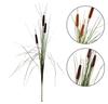 Grass Bouquet - Grass with Water Sticks 125 Cm, Dark Brown