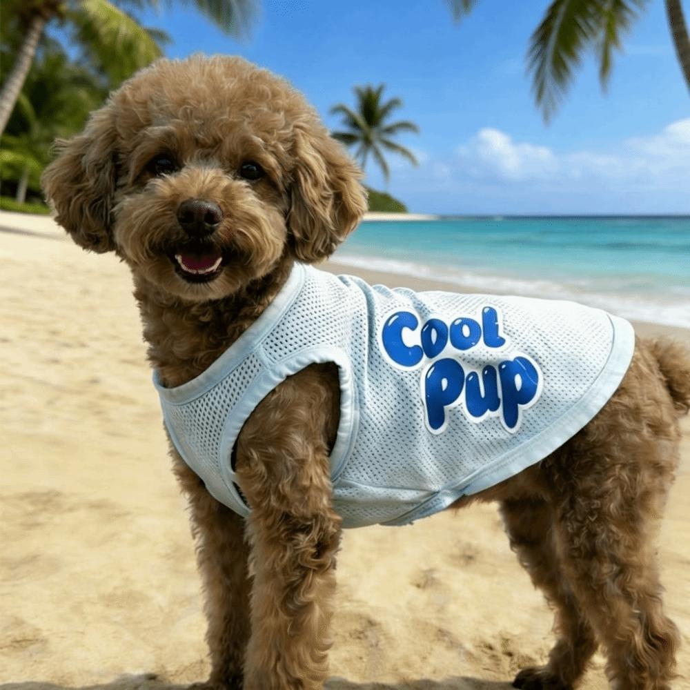 Thin Breathable Mesh Dog Vest Soft Fabric Cooling Pet Vest Dog Sunscreen Vest Daily Walk S