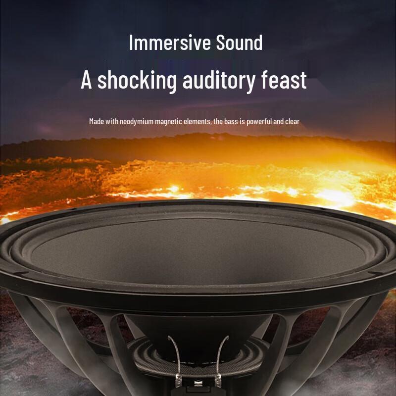 HuiDu Professional Karaoke & Conference All-in-One System (CN Version)