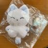 Used Enhypen Sunwoo 10cm Stuffed Toy