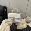 Niche Design Crossbody Bag For Women 20256 Autumn New Fashion Simple Stylish Underarm Leopard Print Vintage Single Shoulder Bag