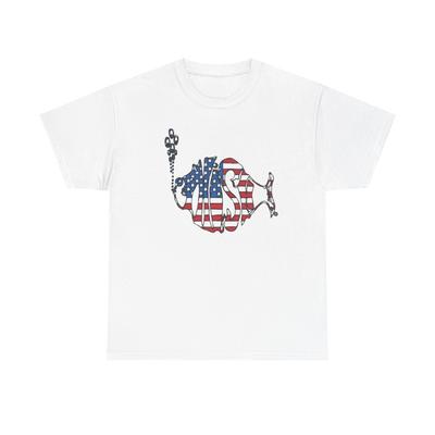 Phish Graphic T Shirt America Flag Vintage Multiple Colors Unisex Heavy Cotton