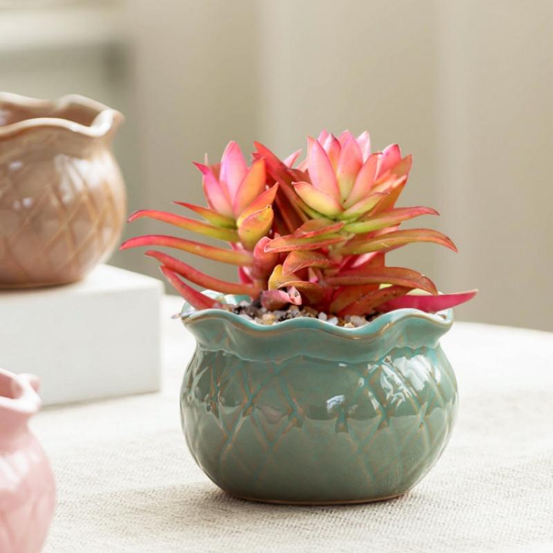Creative Ceramic Flowerpot Petal-Rim / Lotus Shape Succulent Planter Desktop Ornament for Home Garden Decor