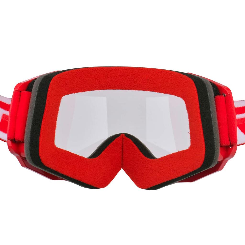 Dirt Freak DFG Speed Goggles D2930 Product (Red) (Previous Number DG1304-0300)