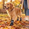 Comfortable Paws Covers for Travel Waterproof Dog Shoes Small Medium and Large Dogs, Non-Slip Oxford Cloth Heavy Duty Boots Daily Walks