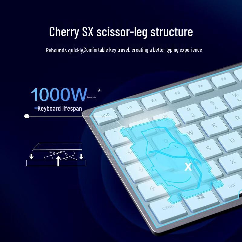 CHERRY DW9100 Wireless Keyboard and Mouse Set