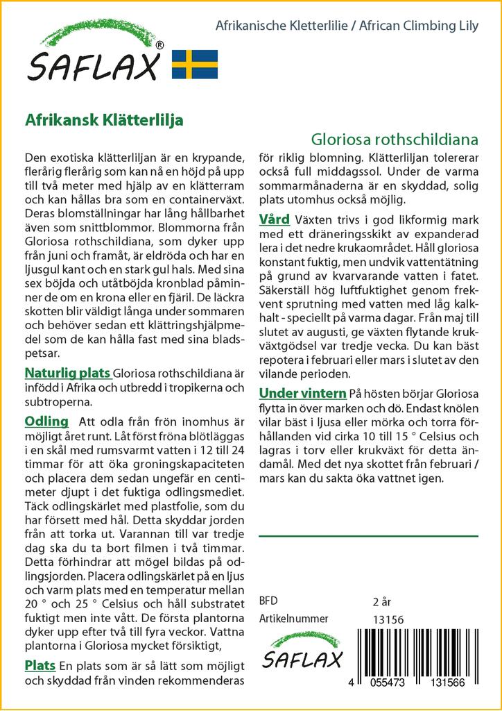 SAFLAX African Climbing Lily - 15 Seeds - Gloriosa Rothschildiana