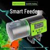 Smart Large-Capacity Automatic Fish Feeder Timer for Aquariums