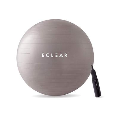 ELECOM Balance Ball 65cm Fitness Ball with Air Pump, 500kg Weight Capacity, Gray HCF-BB65GY