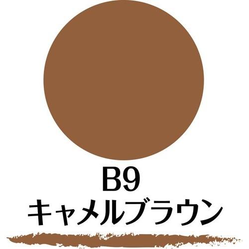 SANA New Born W Brow EX B9 Powder & Pencil & Brush 3-function Eyebrow Camel Brown 1 Piece (x 1) Eyebrow