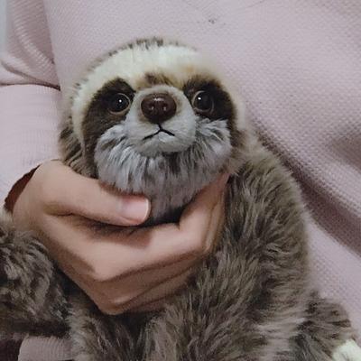 Cute Sloth Bradypod Plush Doll Wild Animal Stuffed Toy 28cm Kid Gift