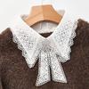 Vintage Embroidery Fake Collar For Women White Lace Hollow False Detachable Collar Lapel Shirt Tie Necklace Clothes Accessory