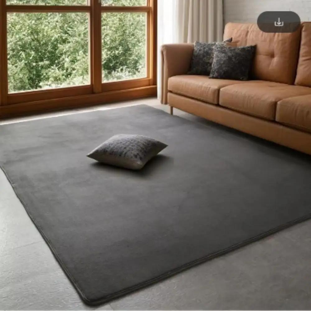 Ultra Zacht Verdikt Grijs Flanellen Tapijt Antislip Wasbaar Vloerkleed voor Woonkamer Slaapkamer Kantoor Vloer Huisdecoratie 80x120cm 31x47inch