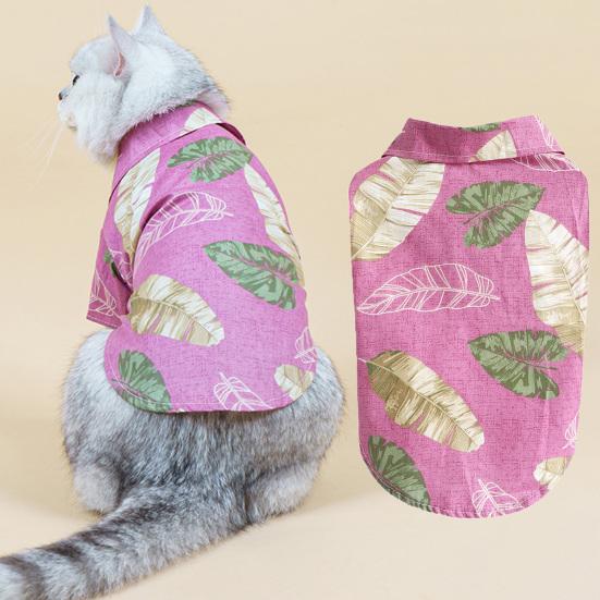 how to train a dog to not pull