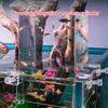 Aquarium Fish Breeder Box Plastic Fish Isolation Breeding Box Hatching Breeding Box Fish Hatchery Box