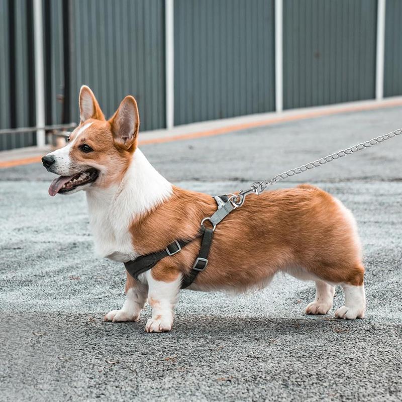 Metallketten Hundeleine für mittelgroße große Hunde 1,2M Bissfeste Eisenkettenstange Mit Weichem Gepolstertem Griff Ketten Zugseil Haustierbedarf