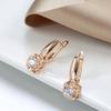 Fashion rose earrings women's zircon stud earrings wind ear buckle ear jewelry