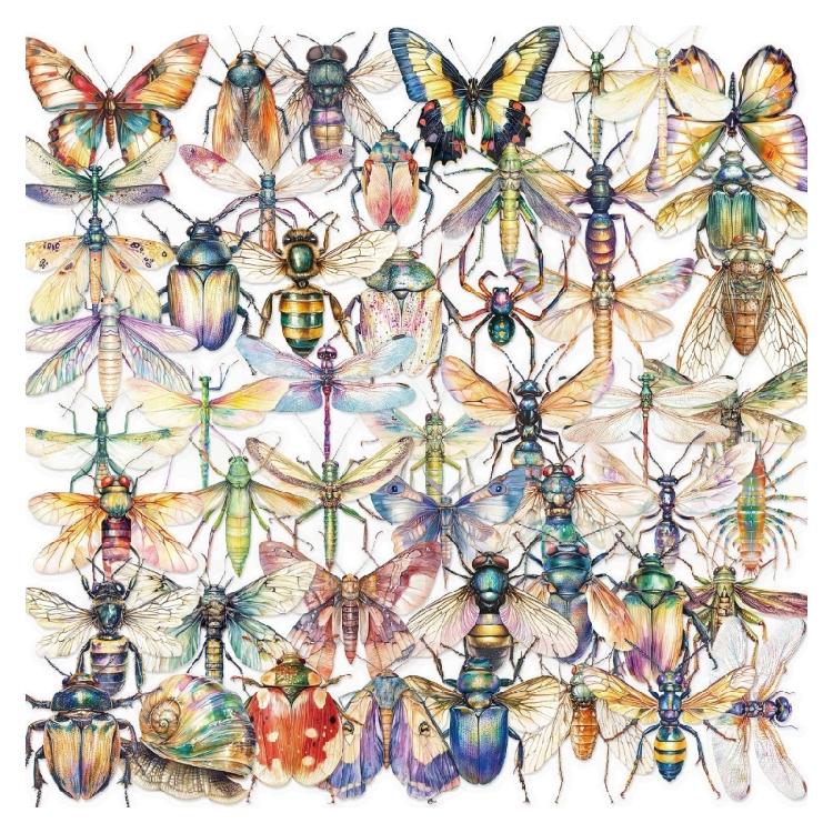 50 Листов Декоративная Наклейка Наклейка на Бутылку Наклейка-Награда Наклейка с Изображением Насекомых в Акварели Декоративная Наклейка-Этикетка 1