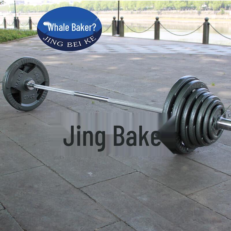 Painted Cast Iron Barbell Weight Plate
