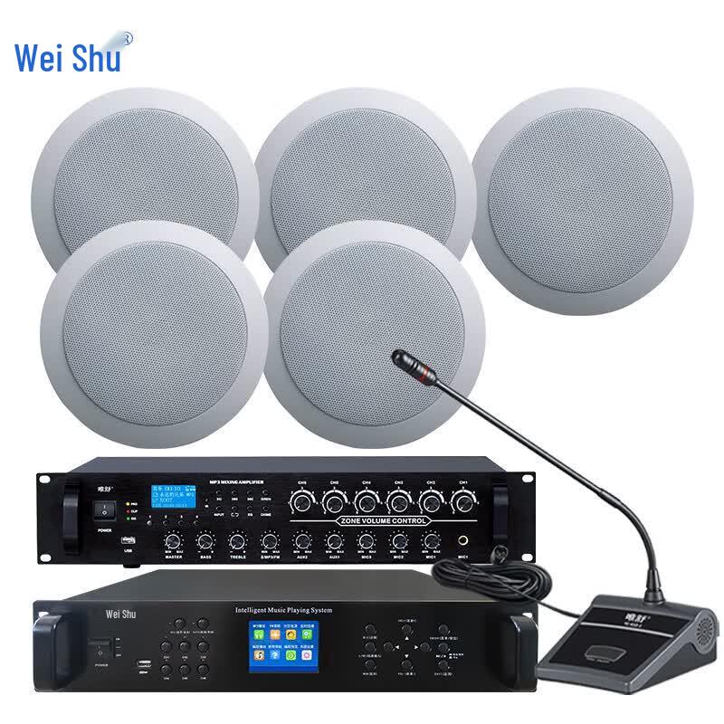 

Weishu FD-390-A Conference Public Broadcast System (CN version)