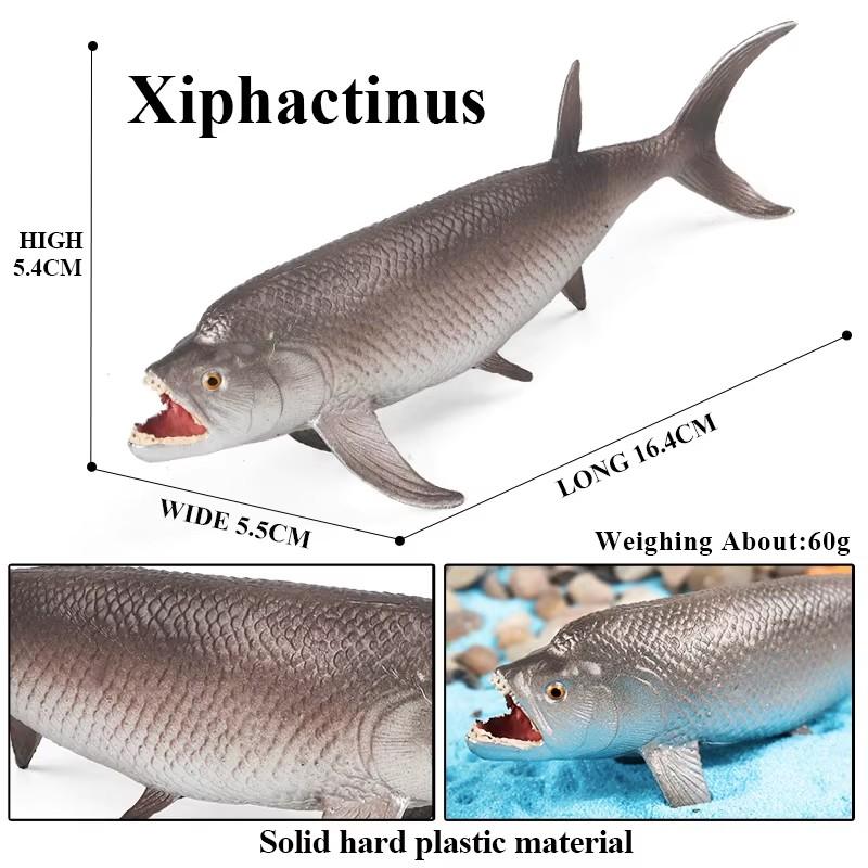 Oenux Meeresleben Modell Clownfisch Lachsbarsch Meerestier Spielfiguren PVC Hohe Qualität Bildung Miniatur Strand Kinderspielzeug