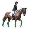Hipismo – Produtos para cuidados de cavalos