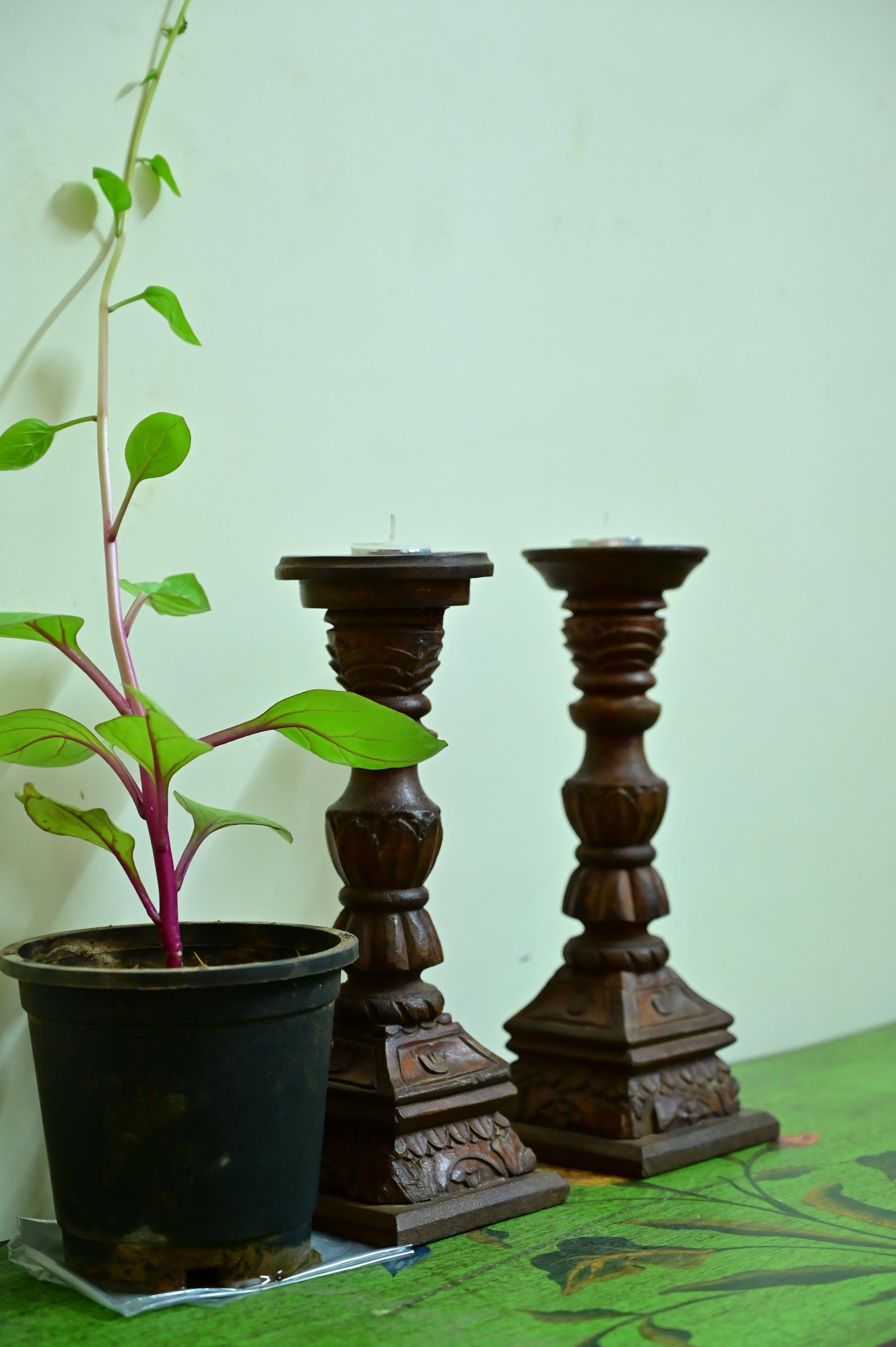 

Rustic Hand-Carved Wood Candle Holders: Farmhouse Table Decor 16” X 8” X 24” (l x w x h) разноцветный