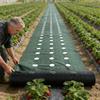 Double Layer Perforated Grass Proof Cloth Biodegradable Weed Control Ground Cover  Courtyards