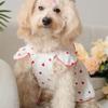 Valentinstag 1 Stück Herzmuster Schleifen-Dekor Haustierkleid für Hund für den Sommer