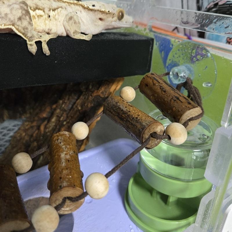 Transparent Reptiles Water Feeder With Automatic Water Refilling Space Efficient Design Technology