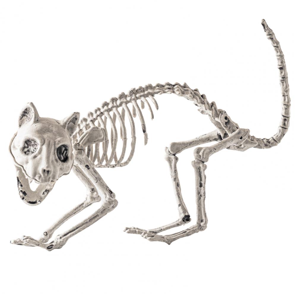 Long Lasting Halloween Prop Durable Plastic Skeleton Halloween Skeleton Decor for Courtyard Graveyard Cat Dog Bird Rat Goat Head