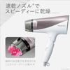 Panasonic Hair Dryer Ionity Quick Drying Large Air Volume Brown Tone EH-NE6G-T