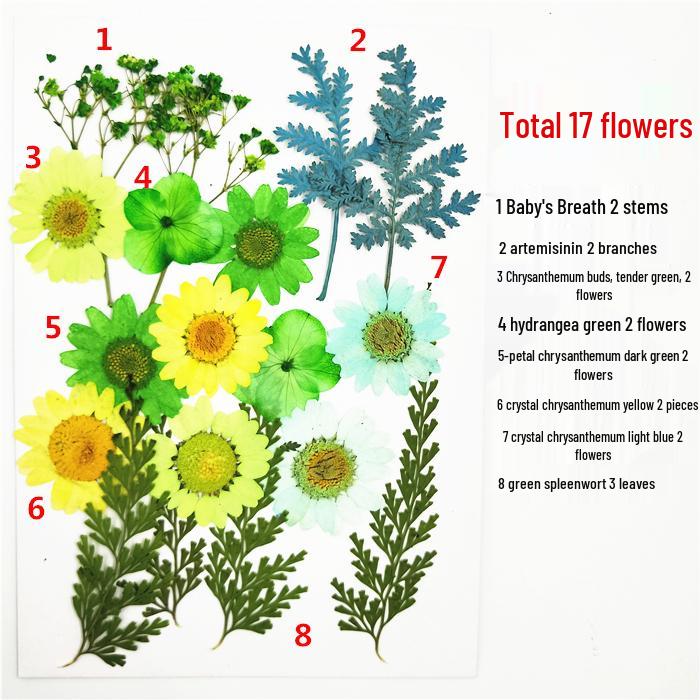 Handmade Kindergarten Collage: Real Dried Leaf and Flower Stickers for Face and Photo Decoration