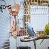 Colorful Hanging Parrot Bird Toy Training Biting Chewing Accessory Handmade Natural Wood Bird Swing Hanging Wind Chime for Parrot