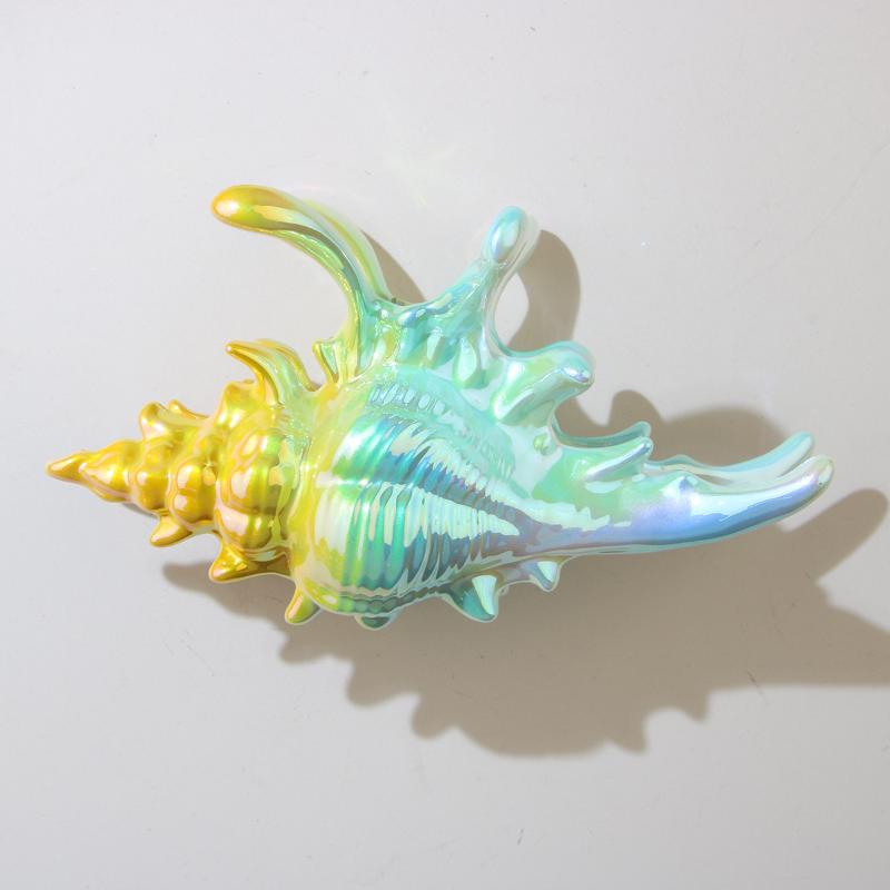 1Pcs Hair Claw Elegant Shark Clip Creative Conch Hairpin Colorful Gift For Summer Beach Headwear Hair Accessories